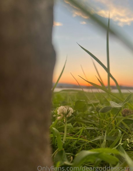 deargoddesssara ポルノスター 可愛い 画像