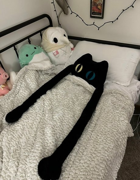 sleepy raccoon ポルノモデル 写真