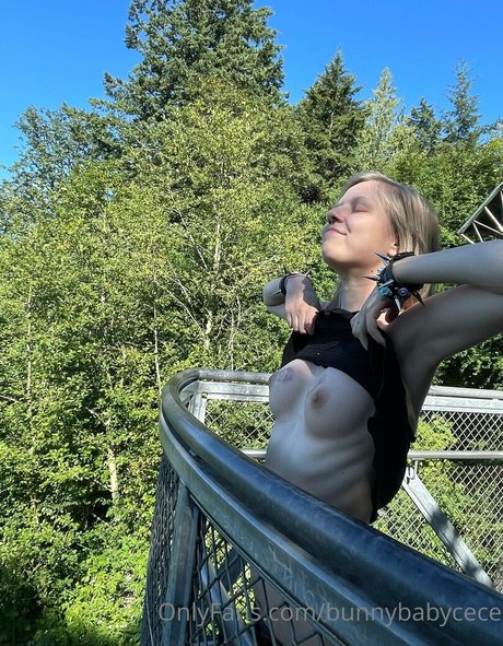 Bunnybabycece ポルノスター ホット 写真