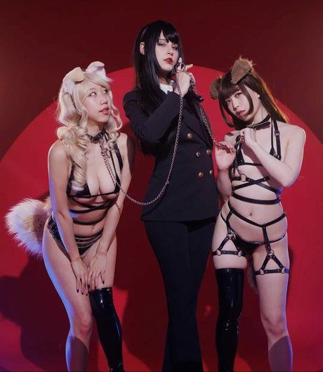 Danisaurz 高品質モデル 写真