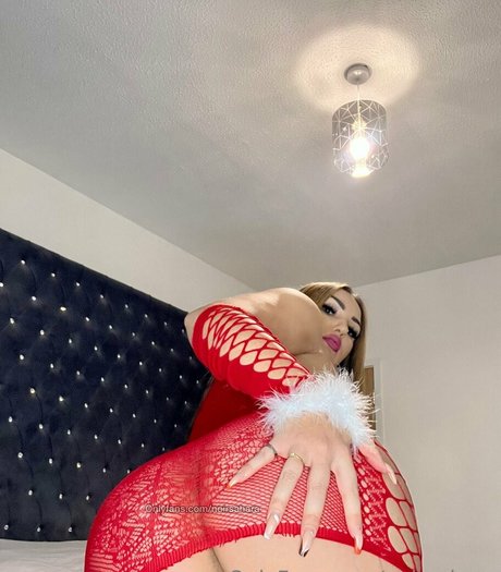 ボスオンリーファン 無料 画像