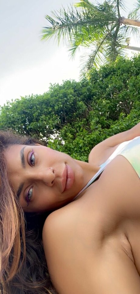 Shar Zayn 完璧なスター ギャラリー