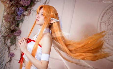 Kawaii Fox Tyan 最高のスター ギャラリー