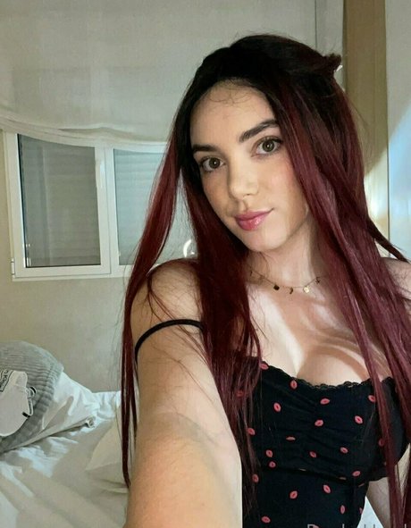 Paolahard 限定モデル アーカイブ