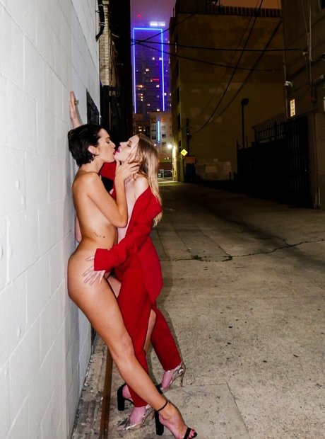 セックスオンリーファン ベスト 写真