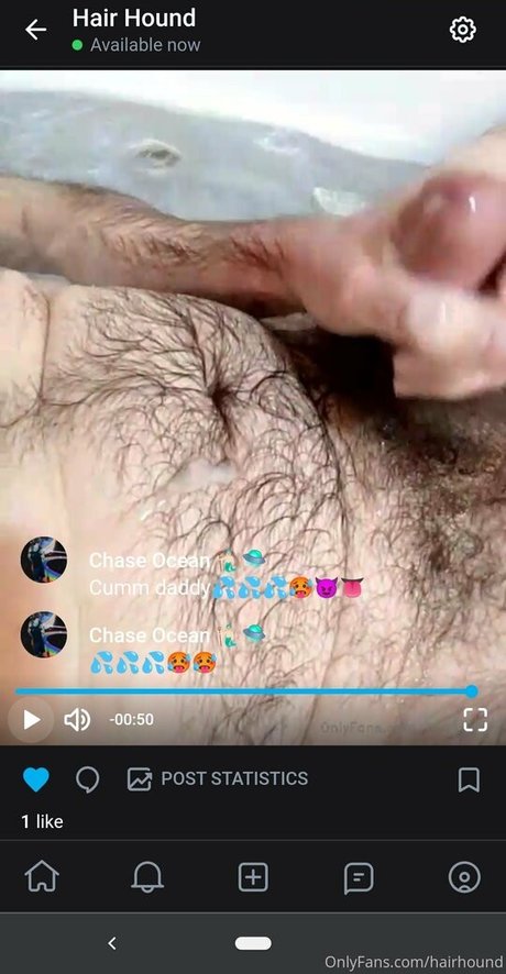 hairhound HDポルノスター 画像
