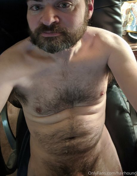 hairhound 高品質スター アーカイブ