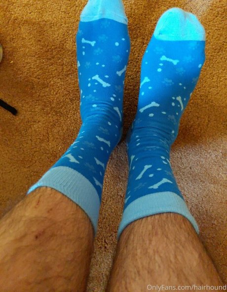 hairhound ポルノスター 写真