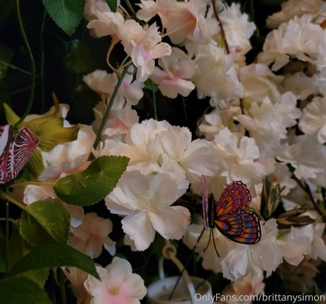 brittanysimon 完璧な女優 写真