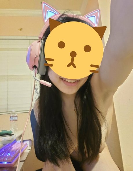 Aki kitty アートスター 写真