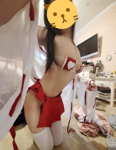 Aki kitty アートスター 写真
