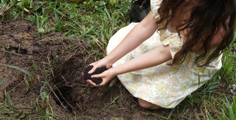 Mother The Mountain Farm 素敵なスター 画像