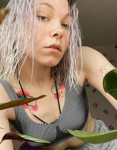 strwbrr アートポルノスター アーカイブ