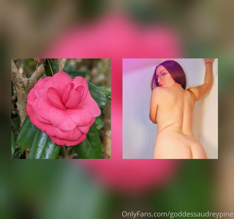 goddessaudreypine ホットモデル 画像