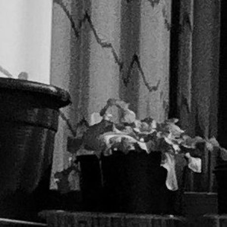 ママオンリーファン 美しいxxx 写真