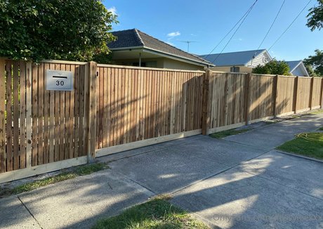 dvpgirlnextdoorxxx ヌードスター 写真