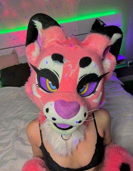 DMオンリーファン ホットセックス 画像