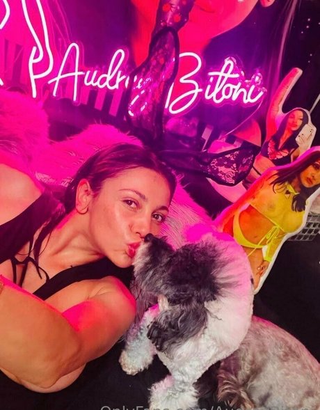 セックスオンリーファン トップ 写真