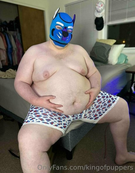 kingofpuppers 美しいスター 写真