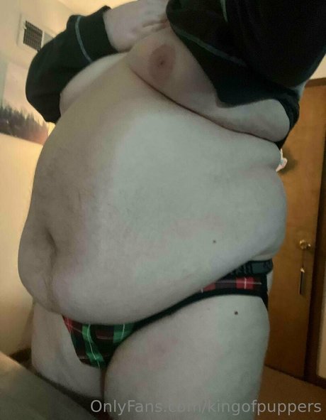 kingofpuppers ホットスター ギャラリー