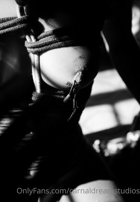 carnaldreamstudios エロティックなスター 写真