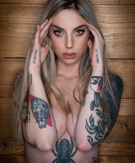 Brokenmirror 完璧なスター 写真