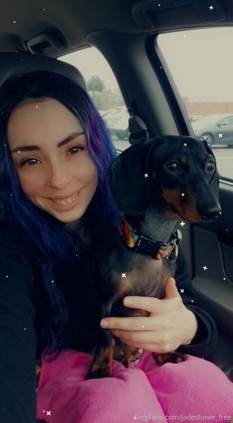 jadestoner free HDスター ギャラリー