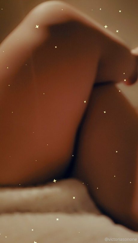 victoriasonone 限定モデル 写真