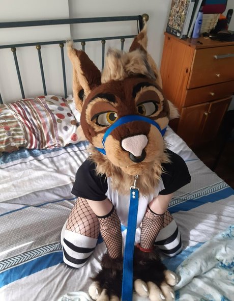 バニーオンリーファンズ アートヌード ギャラリー