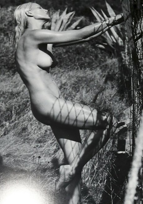 アナルトランスオンリーファンズ 美しい裸 写真