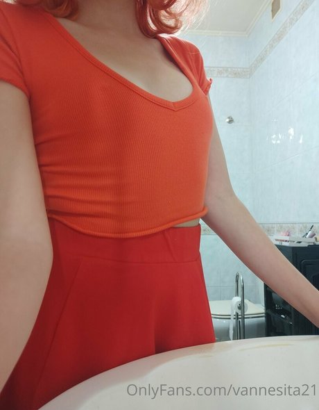 vannesita21 高品質女優 画像