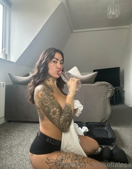 sofialeex アート女優 ギャラリー