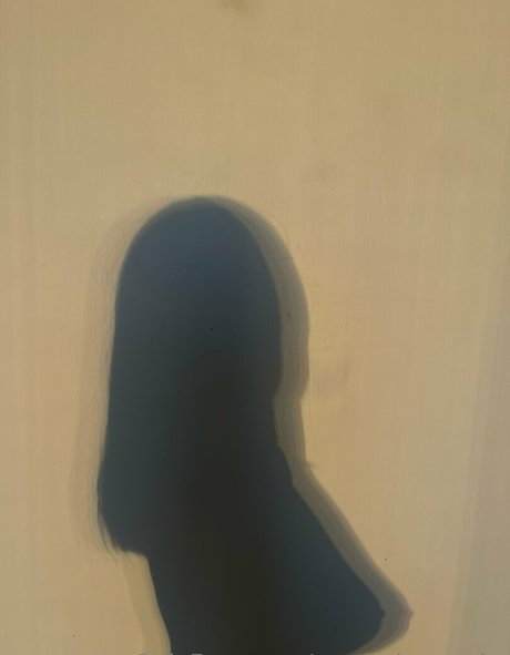 the cherry on the cake HDモデル 写真