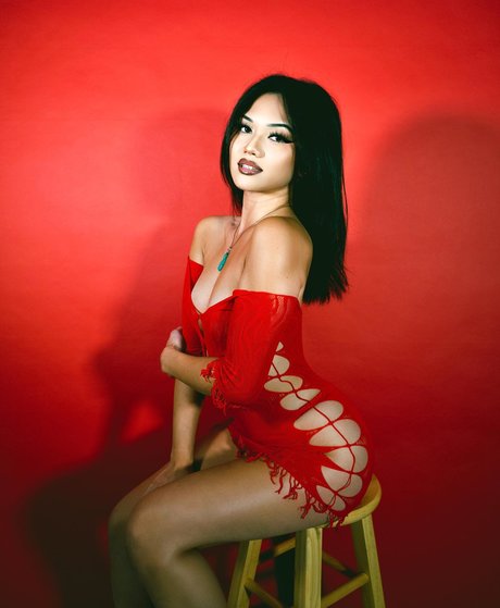 Nikkittran 高品質のスター 画像