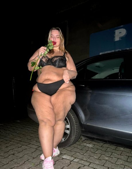 wero777 素敵なスター ギャラリー