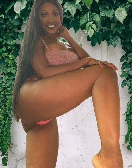 Diamond Jackson 完璧なスター アーカイブ