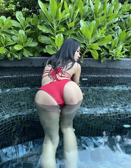 Cartooncandy ポルノ女優 写真