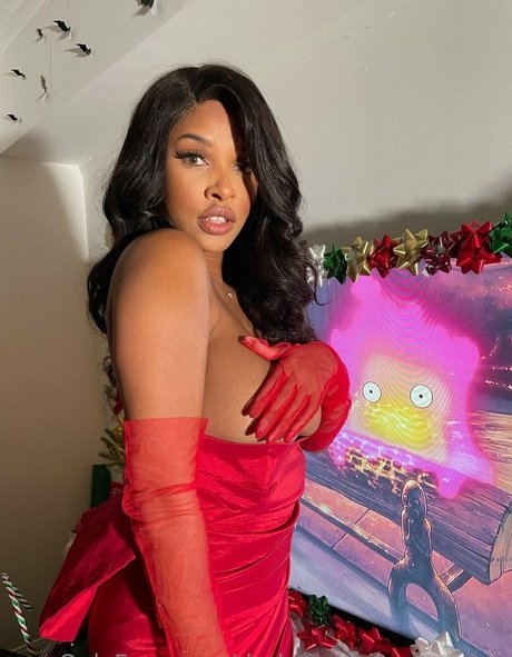 darkphoenixvip ヌードモデル 写真