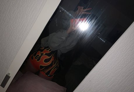 Desiluted 高品質モデル 写真
