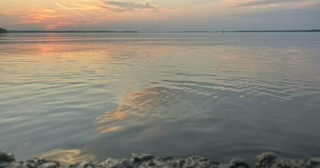 黒檀の足 オンリーファンズ パーフェクト ギャラリー