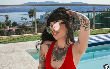 Arson アートモデル 写真