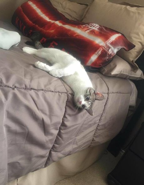 freesoda grl 裸のポルノスター 画像