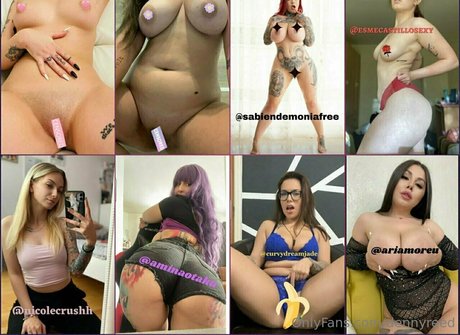 dennyreed ポルノスター ベスト 写真