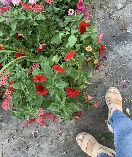 kangelstardustxo xxxポルノスター 写真