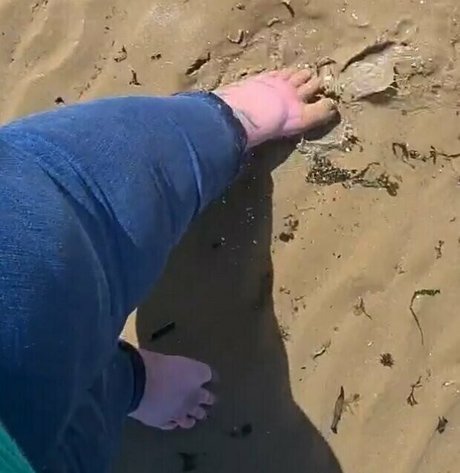 アジア人男性オンリーファンズ ヌード 画像