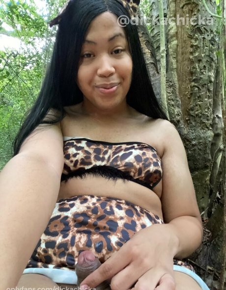 dickachicka 素敵なスター 写真