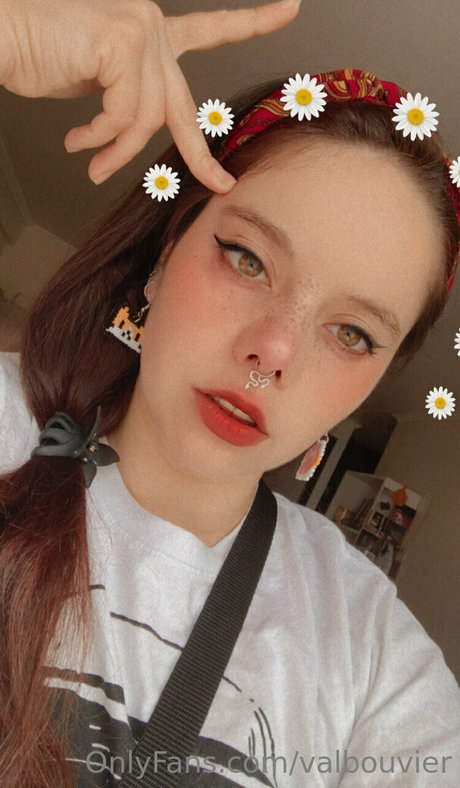 valbouvier profile image