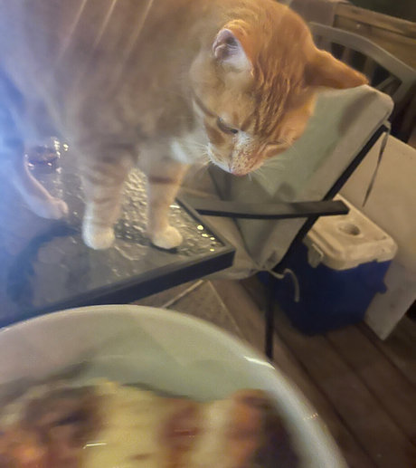 annacarter nyc 無料モデル 写真