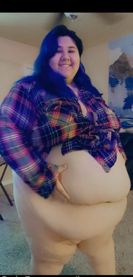 honeycow 17 エロティックなスター 写真