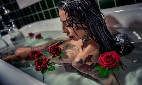 Hollie Stafford 完璧なスター 写真